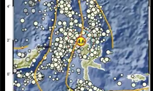 Info Gempa Terkini M 4,6 di Maluku Utara Hari Ini 7 Maret 2023