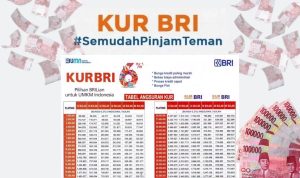 KUR BRI 2023 Dibuka, Perhatikan Tabel KUR BRI 2023 Ini!