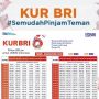 KUR BRI 2023 Dibuka, Perhatikan Tabel KUR BRI 2023 Ini!