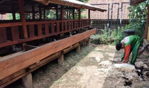 BELUM DIBUKA: Pemandangan di Sein Farm saat dilihat dari roof top. (HENDRIK MUCHLISON/JABAR EKSPRES)