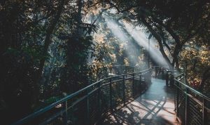 Tempat Wisata Gratis di Bandung – Part 1 Tempat Wisata Gratis di Bandung – Part 1