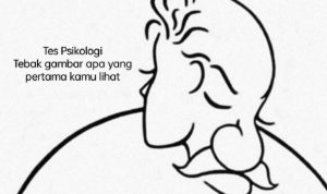 Tes psikologi untuk menentukan kepribadian seseorang melalui cara menetukan gambar apa yang pertama kali dilihat. Namastest.