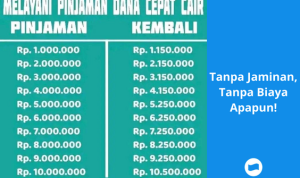 pinjaman DANA
