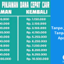 pinjaman DANA