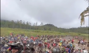 Viral! Komunitas Motor Trail Rusak Lahan Bunga Edelweis Rawa di Ranca Upas, Pelestari Paham Gak Kalian