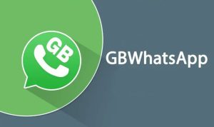 download wa gb