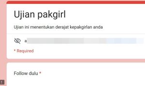 Ikuti Link Tes Ujian Pakgirl yang sempat Viral, Apakah Kamu Masih Jadi Pakgirl?