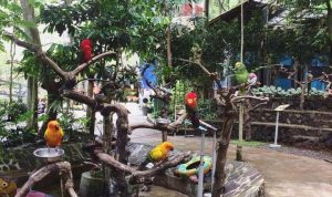 Tempat Wisata Cocok Untuk Healing di Bandung, Sudah Coba?