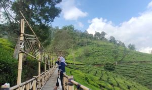 Tempat Wisata di Ciwidey yang Ramah di Kantong untuk Short Escape