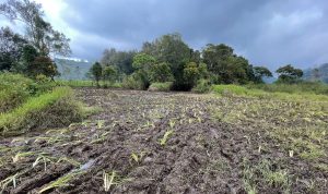 Akibat Kerusakan Rancaupas, Perhutani Bakal Larang Kegiatan Trail dan Offroad