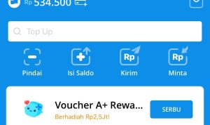 455 Ribu Saldo DANA Gratis Bisa Diklaim! Ini Caranya