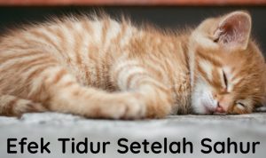 Efek tidur setelah sahur