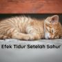 Efek tidur setelah sahur
