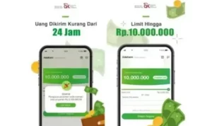 Melayani 24 Jam, Pinjol Legal Bunga Rendah Solusi Kebutuhan Darurat