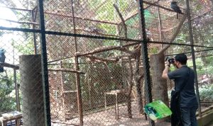 Salah satu kandang unggas di Kebun Binatang Bandung. Kini, arena hewan peliharaan itu bebas dari flu burung. (SANDI NUGRAHA/JABAR EKSPRES)