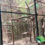Salah satu kandang unggas di Kebun Binatang Bandung. Kini, arena hewan peliharaan itu bebas dari flu burung. (SANDI NUGRAHA/JABAR EKSPRES)