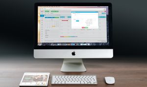 Ilutrasi Cara Ikut Survei via Web Dapat Saldo Gratis hingga Pulsa/ Pixabay/Firmbee