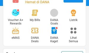 cara dapat saldo DANA gratis