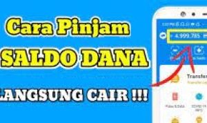 Cara Pinjam Di Dana