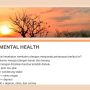 LINK Tes Ujian Mental Health TERUPDATE Gratis, Apakah Kamu Depresi Berat?