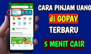 cara pinjam saldo gopay