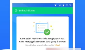 Pinjol Legal Rp20 Juta, Pengajuan hingga Pencairan Hanya 5 Menit