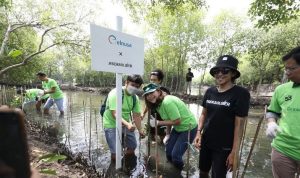 Elnusa Greening Action, Planting 4,490 Mangrove Seedlings on 40 Hectares of Land