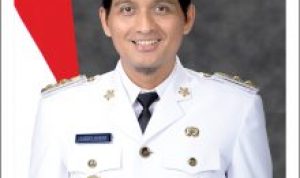Lucky Hakim resmi mengundurkan diri dari Wakil Bupati Indramayu