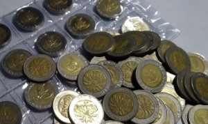 koin 1000 kelapa sawit investasi