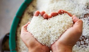 5 Waktu Pembayaran Zakat Fitrah, Lengkap dari Mubah hingga Haram! Ilustrasi. 5 Waktu Pembayaran Zakat Fitrah. PMJ News.
