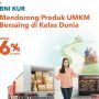 Tidak Perlu Jaminan!? Berikut Syarat Super Mikro KUR BNI