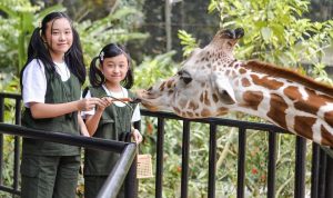 Sambut Libur Lebaran, Bandung Zoo Hadirkan Fasilitas Baru