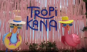 Harga Tiket Tropikana Waterpark, Wisata Air Estetik di Tangerang Harga Tiket Wisata Tropikana Waterpark di Tangerang/ Tangkap Layar Instagram @tropikana.waterpark