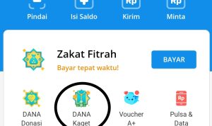 Cara Membuat Link DANA Kaget Untuk THR Lebaran Online (ilustrasi)/ Tangkap Layar Aplikasi DANA