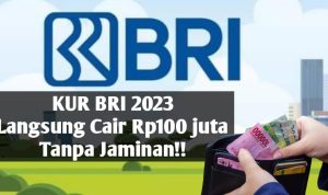 KUR BRI 2023 tanpa jaminan langsung cair Rp100 juta bisa membantu para pengusaha UMKM dalam memenuhi kebutuhan modal tambahan.
