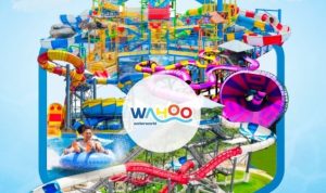 Libur Telah Tiba! Cobain Yuk Wahana Baru Wahoo Water World Libur Telah Tiba! Cobain Yuk Wahana Baru Wahoo Water World
