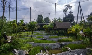 Singapore's Latest Attractions: Bird Paradise is Home to 3,500 Birds
