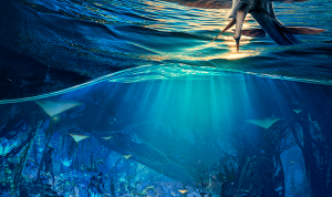 download film avatar 2