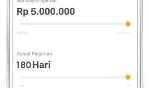 Pinjol resmi OJK menyediakan limit maksimal Rp 5.000.000.