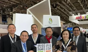 Pulp and Paper Industry Promotes Digital Transformation