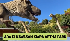 Harga Tiket Wisata Dinosaurus di Papa Dino Bandung, Siap-Siap akan Soft Opening! Papa Dino Bandung Wisata Edukasi Terbaru/ Tangkap Layar TikTok @papadinobandung