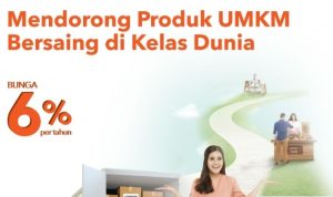Pinjaman Mikro KUR BNI Tanpa Jaminan Tambahan!