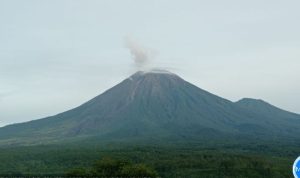 Gunung Semeru yang terpantau dari Pos Pengamatan Semeru di Gunung Sawur, Kabupaten Lumajang, Provinsi Jawa Timur, Rabu (5/4/2023). (PVMBG)