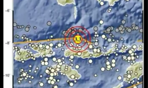 Info Gempa Terkini M 3,3 di NTT Hari Ini 11 April 2023