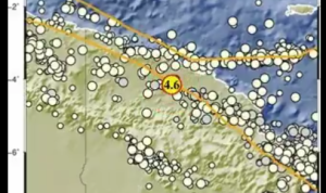 Info Gempa Terkini M 4,6 di Papua Hari Ini 26 April 2023