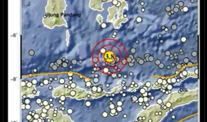 Info Gempa Terkini M 3,8 di Sulawesi Tenggara Hari Ini 2 April 2023