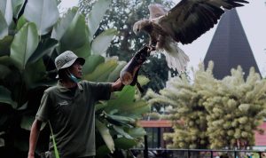 Harga Tiket Lembang Park & Zoo/ Foto: Instagram (@lembang_parkzoo)