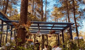 3 Rekomendasi Tempat Wisata di Bandung yang Cocok untuk Libur Lebaran 2023/Foto: Instagram (@orchidforestcikole)