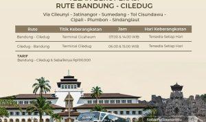 DAMRI Buka Rute Baru Bandung - Ciledug (Cirebon), Ini Cara Pesan Tiketnya/Foto: Instagram (@damriindonesia)