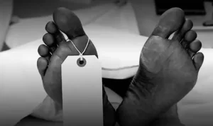 Viral! 10 Jenazah Korban Pembunuhan Dukun Pengganda Uang Ditemukan, Polisi Segera Lakukan Indentifikasi Ilustrasi. Viral 10 jenazah korban pembunuhan dukun pengganda uang ditemukan di Desa Balun Banjarnegara, Jawa Tengah Polisi lakukan identifikasi. Pixabay.